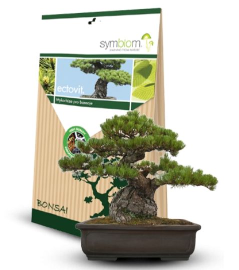 Prípravok priamo určený na ošetrenie bonsajov. Prípravok obsahuje 6 druhov ektomykorhíznych húb, ktoré pomáhajú k lepšiemu rastu a odolnosti bonsajov. - Eshop, kúpte online cez záhraníctvo Kulla