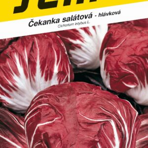 Semeno Čakanka hlávková červena -Palla rossa 5Osem.