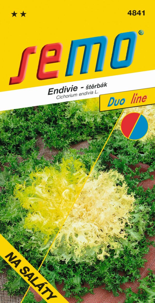 ZMES FARIEB - kolekcia DUO LINE - zmes Kučeravým zelenolistých odrôd s bielym a žltým srdcom. - Eshop, kúpte online cez záhraníctvo Kulla