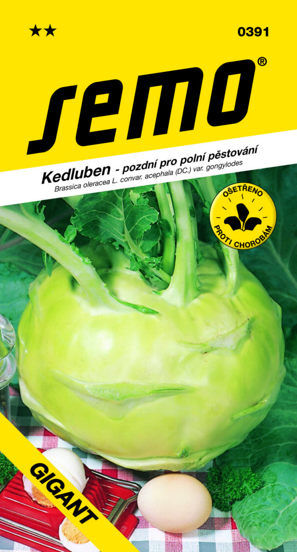 Neskorá biela odroda s veľkými, 3 – 5 kg ťažkými buľvami. Dužina je vysoko akostná, šťavnatá, nedrevnatie ani nepraská. - Eshop, kúpte online cez záhraníctvo Kulla