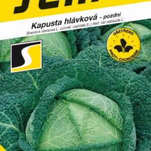 Semeno Kel hlávkový VERTUS 1g