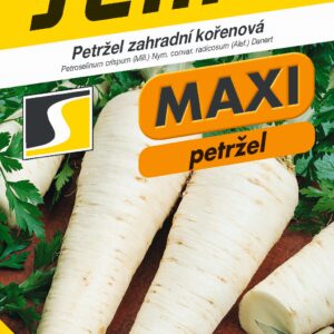 Semeno Petržlen ATIKA maxi 3g