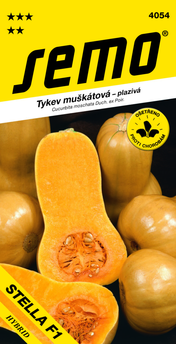 Tekvica je hybridná odroda muškátovej tekvice s hruškovitým podlhovastým plodom máslovo orechovej chuti veľmi dobrej kvality. - Eshop, kúpte online cez záhraníctvo Kulla