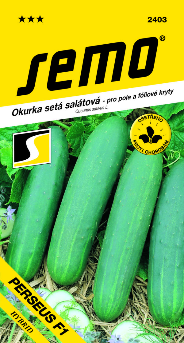 PERSEUS F1 je univerzálny, stredne skorý hybrid bujného rastu, vhodný pre pestovanie na poli i vo fóliových krytoch (za prístupu opeľovačov). - Eshop, kúpte online cez záhraníctvo Kulla