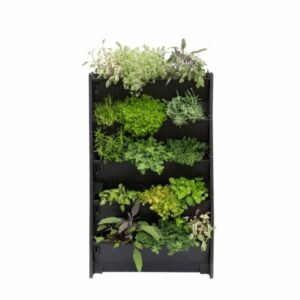 Živá stena – PlantBox